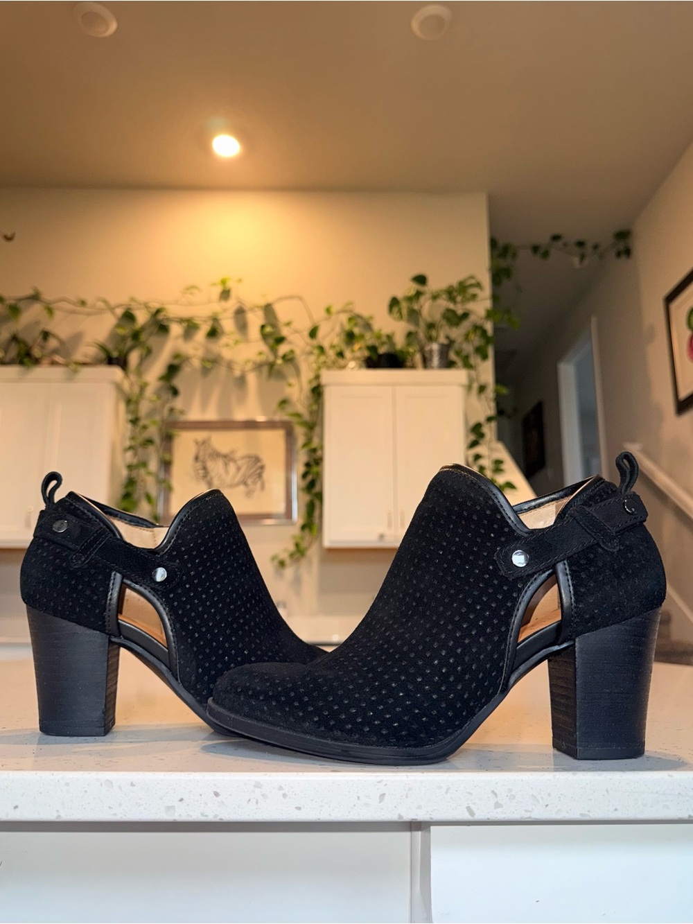 Franco Sarto Dakota Black Suede Cutout Block Heel Booties